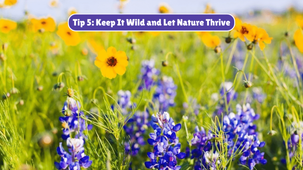 5 Best Tips to Make Your Backyard Wildlife-Friendly – April 21, 2025