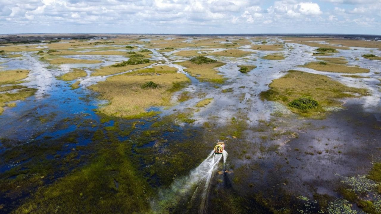 The Role of Wetlands in Climate Resilience