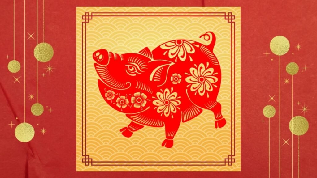 Pig