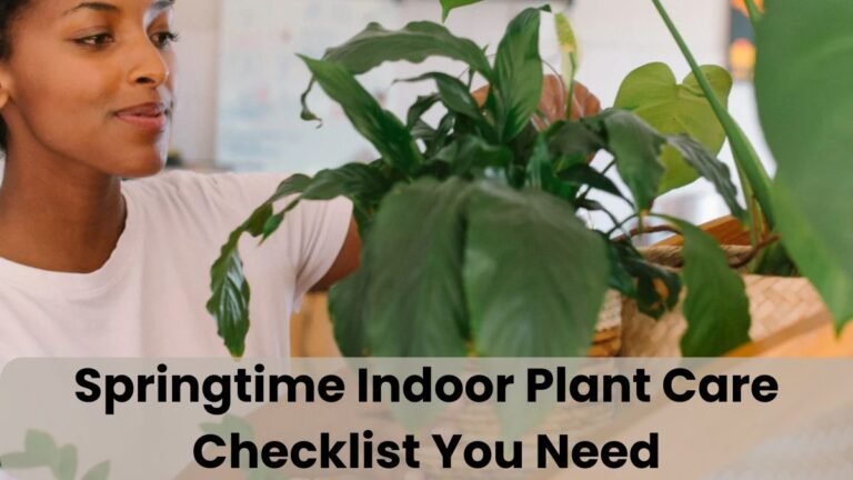Springtime Indoor Plant Care Checklist You Need