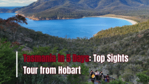 Tasmania in 5 Days: Top Sights Tour from Hobart