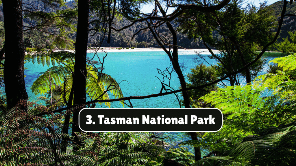Top 10 Must-Do Natural Attractions in Tasmania – April 23, 2025