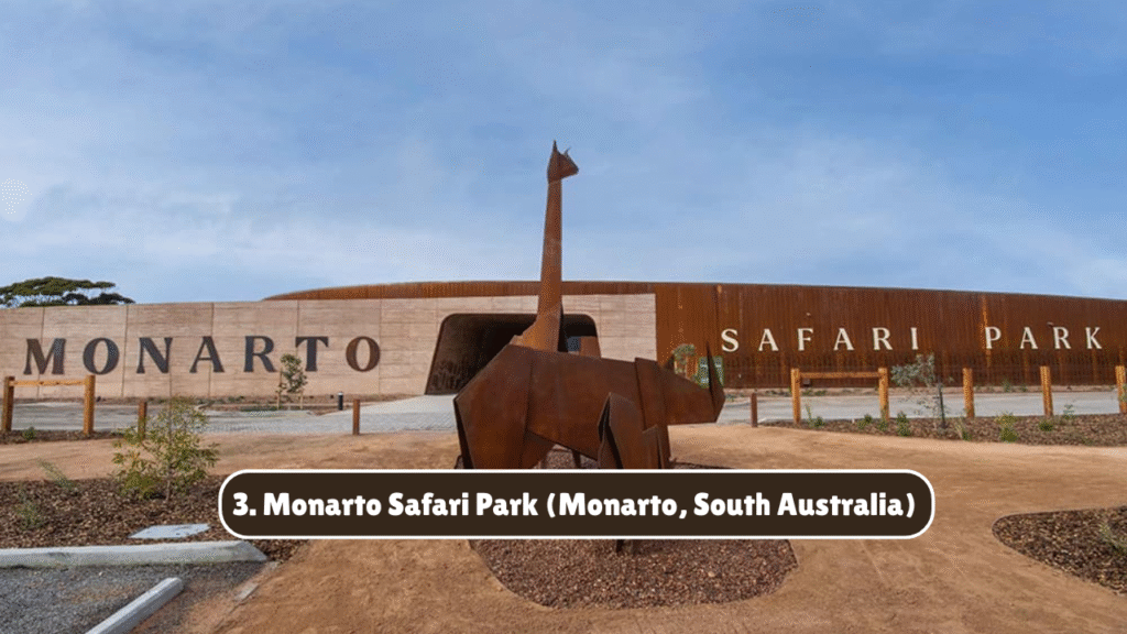 Top 10 Zoos and Wildlife Parks to Visit in Australia – April 27, 2025