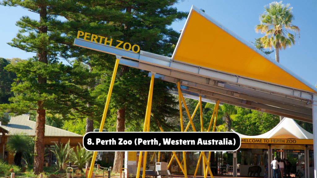 Top 10 Zoos and Wildlife Parks to Visit in Australia – April 27, 2025