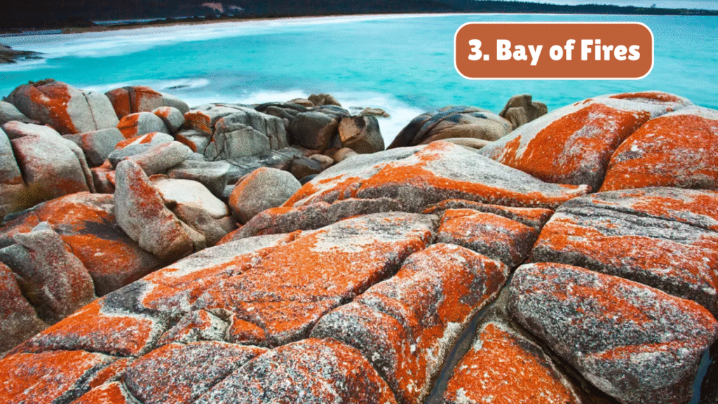 Top Natural Wonders of Tasmania You Must See – April 25, 2025