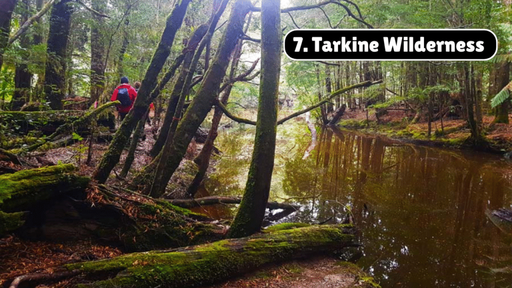 Top Natural Wonders of Tasmania You Must See – April 25, 2025